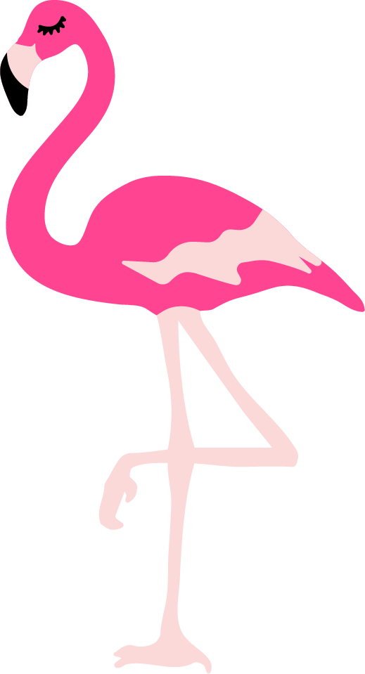 Ready to Press OKI Transfer-Flamingo